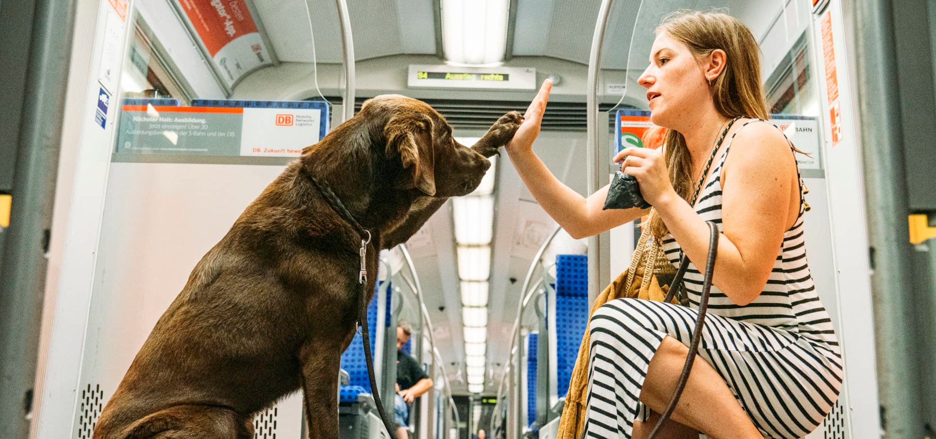 Hund gibt seiner Halterin in der S-Bahn Pfötchen