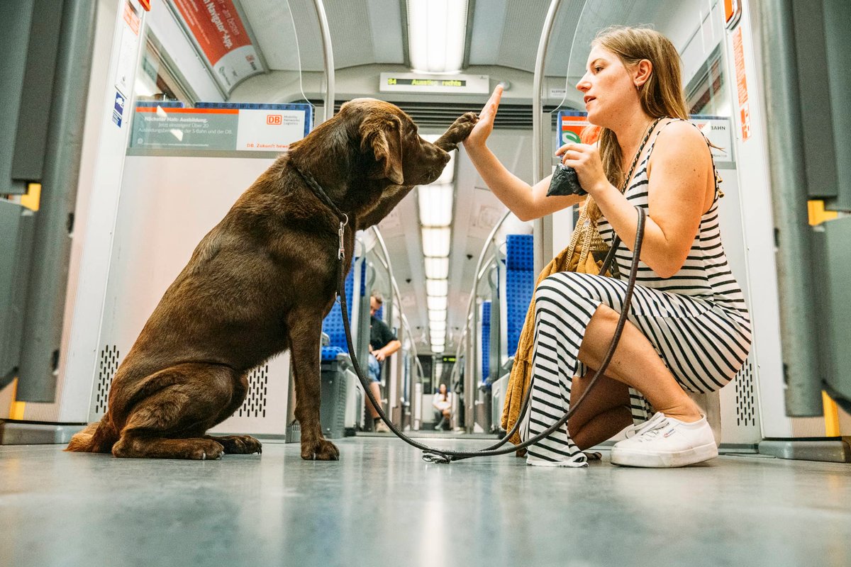 Hund gibt seiner Halterin in der S-Bahn Pfötchen